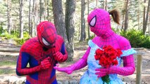 Spiderman & Pink Spidergirl Wedding Kiss in Real Life ft Hulk, Frozen Elsa, Bad Joker, Spiderbaby