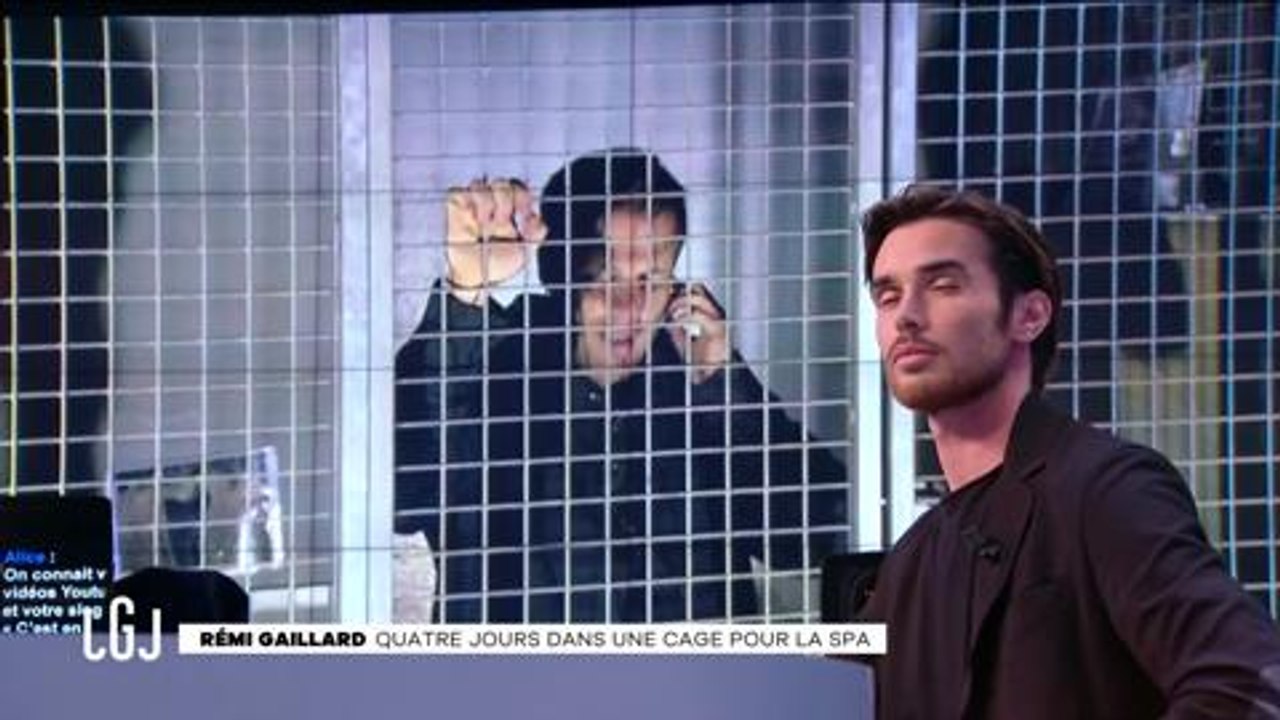 En cage depuis 3 jours pour soutenir la SPA, Rémi Gaillard demande l'aide de Vincent Bolloré ! (Vidéo)