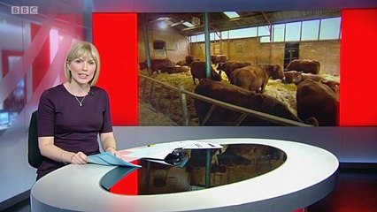BBC1 Look North (East Yorkshire & Lincolnshire) lunchtime news 17Nov16 - a wild roe deer tests positive for Bovine TB
