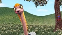 Finger Family Ostrich Bird Cartoon Nursery Rhymes | 3D Cartoon Songs for Children