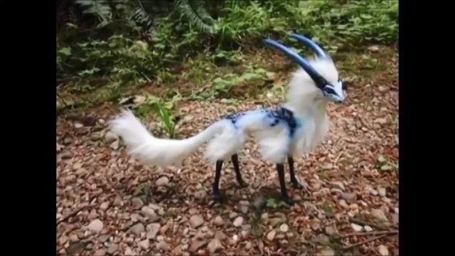 Ajeeb o Ghareeb 3 Aisey Janwar Jo aap ney pehley nhi dekhein hon gey