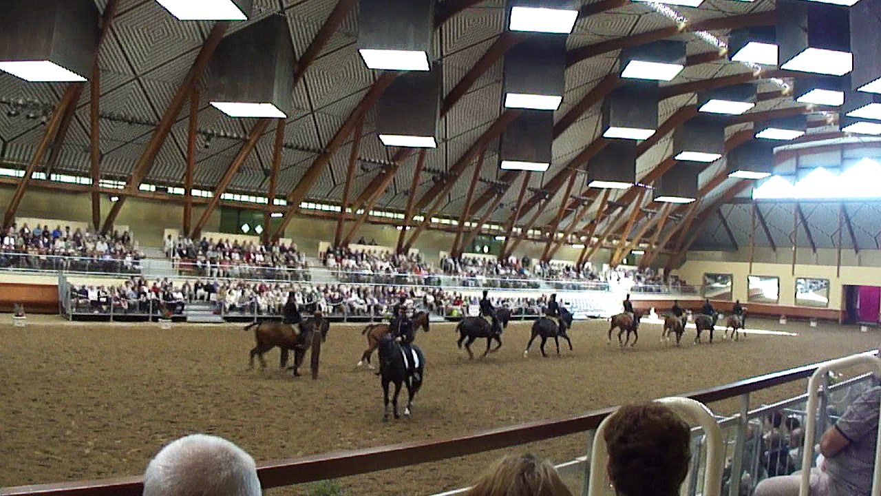 Présentation du Cadre noir de Saumur (aperçu)