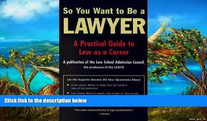 Big Deals  So You Want to Be a Lawyer  [DOWNLOAD] ONLINE