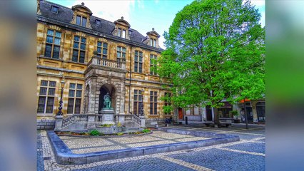 Giancarlo Petrarca - Take it easy, don't panic! (Antwerp memories)