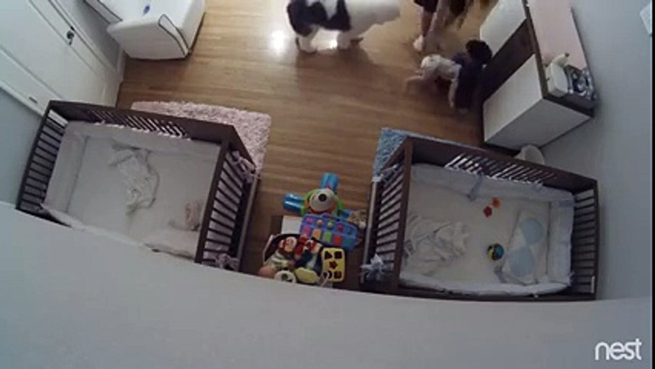 Un grand frère rattrape son petit frère qui tombe de la table à langer !