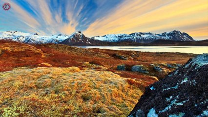 Psalm 91 - God is my Refuge (By Catholic TV Pakistan)