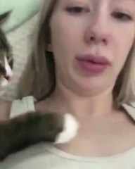 When Your Cat Is Trying To Netflix & Chill And Can't Take No For An Answer!