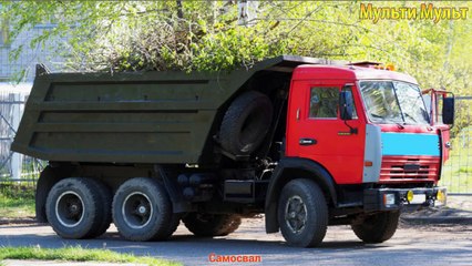 Транспорт и спецтехника - Развивающее видео для малышей - изучаем транспорт и звуки