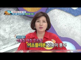 자궁 질환 개선에 탁월! 병아리콩 카레 레시피 대공개!