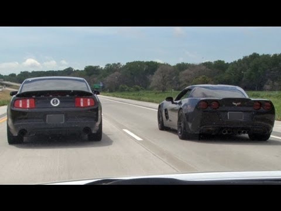 Cobra vs Cobra vs Cobra vs GT500 vs Z06 STREET RACING