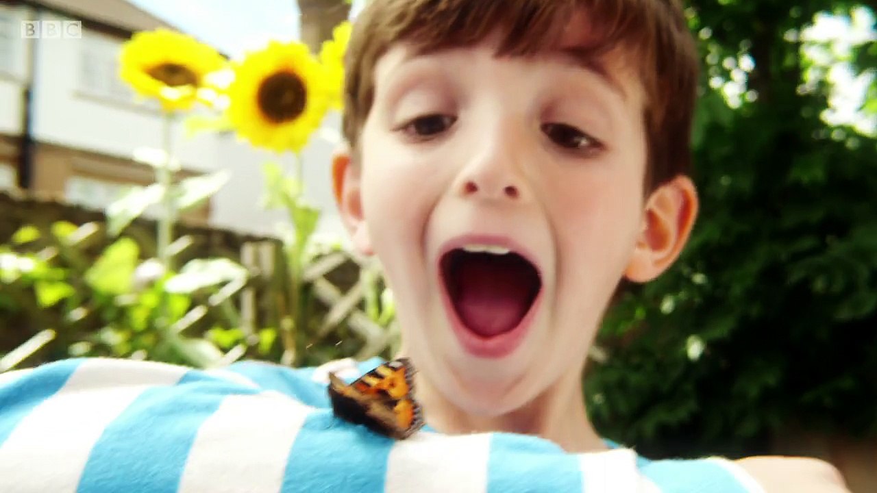 Topsy and Tim . s02e24 . Visiting School . chil...