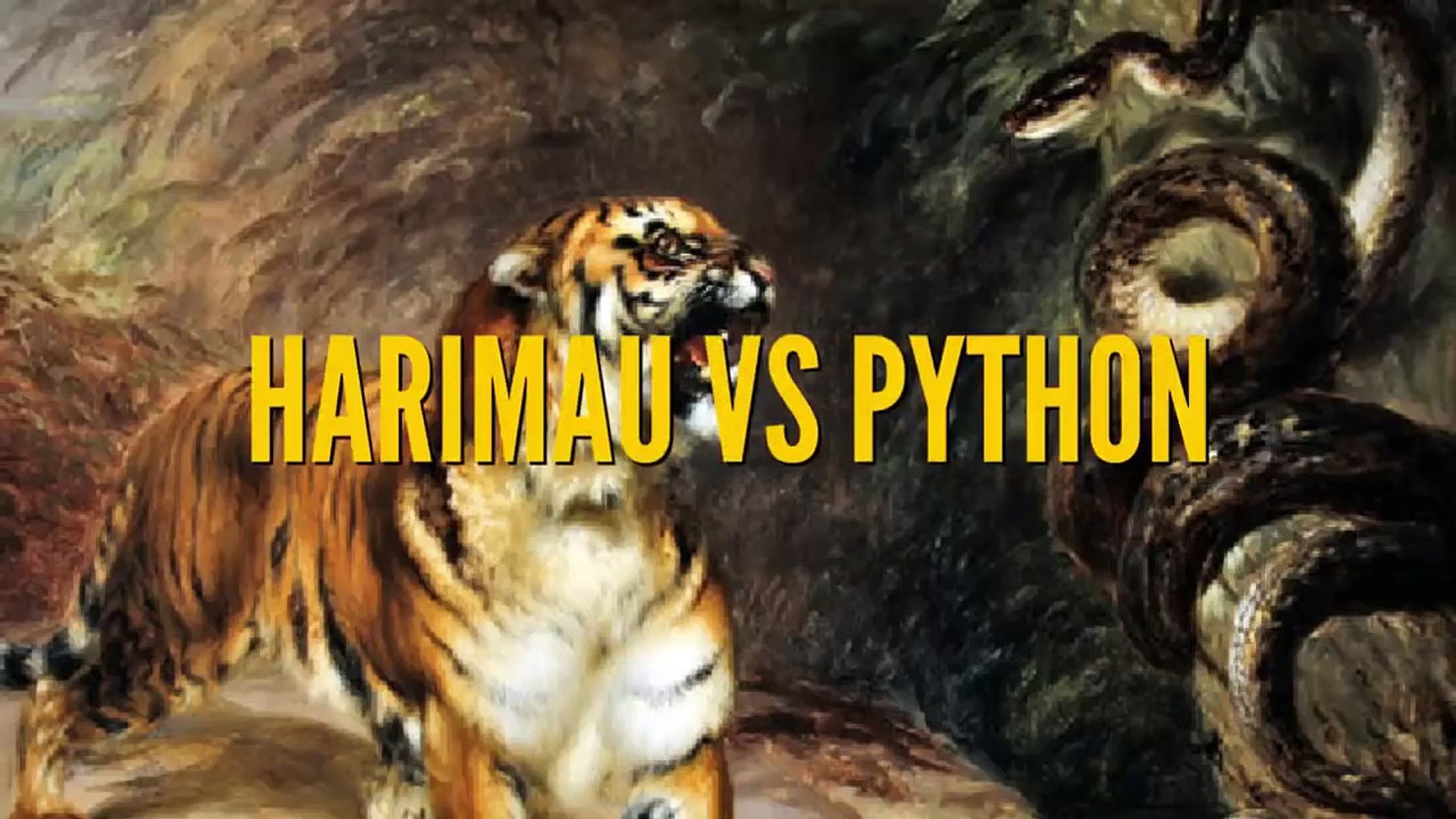 Unduh 76 Gambar Harimau Vs Terbaru 