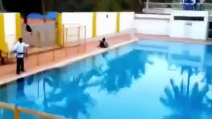 Graphic Content - Latest Tiger Attacks In India