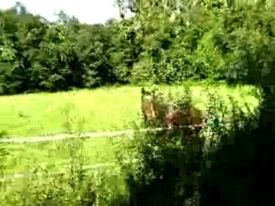 20070819 512