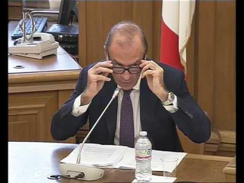 Roma - Crisi d’impresa e insolvenza, audizione esperti (17.11.16)