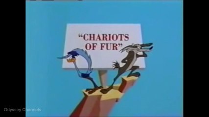 The Roadrunner - Cartoon (Chariots Of Fur) - Oasis HD Odyssey