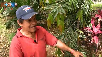 +QN 17 Noviembre 2016