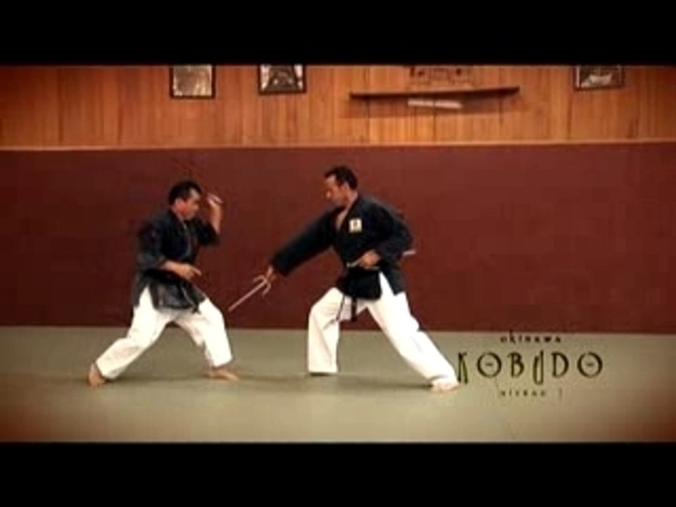 DVD okinawa kobudo zenei oshiro