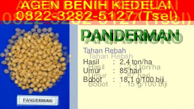 0822-3282-5127 (Tsel), Agen Bibit Kedelai