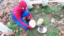 SPIDERMAN POO Prank TRex Spiderman Pooped Stealing TRex Eggs Superhero Fun in Real Life SHMIRL