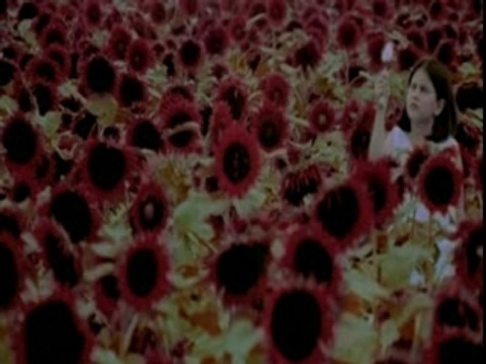 OLIVIA - Color of Your Spoon