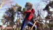 Spiderman vs Trex JOKER Kidnapped Baby TRex Spiderman Funny Superhero Video TRex Poo Prank