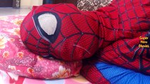 Spiderman Sleeping Batman Insects Prank | Spiderman Sick Funny Joker Doctor | Fun SuperHero Movie