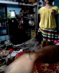 Patient baby bird bulbul [doctor anher is caring]