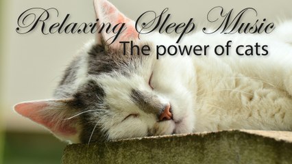 Cats Sleep Power - Relaxing Music, Sleep Music, Dream Music | Relax & Enjoy
