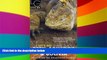 Buy NOW  Let s Go 2003: Peru, Ecuador   Bolivia Let s Go Inc.  Book