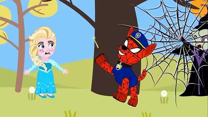 Frozen Elsa vs Zombie Paw Patrol Saviors Spiderman Cartoon Finger Family Song Nursery Rhymes