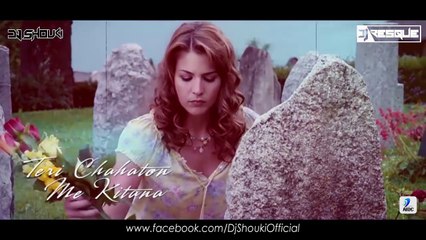 Mile Ho Tum Humko ( Chillout Mashup ) - Dj Shouki & Dj Resque - Rajeev khandelwal , Gauahar khan