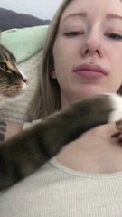 Plus tu le repousses plus il est collant : chat adorable