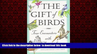Read book  The Gift of Birds: True Encounters with Avian Spirits (Travelers  Tales Guides)