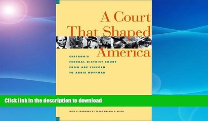 READ  A Court That Shaped America : Chicago s Federal District Court from Abe Lincoln to Abbie