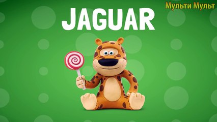 Talking ABC Mega Compilation - ABC SONG - Learn English for children -Stop Motion Videos