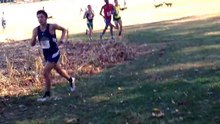 Un coureur de cross-country violemment percuté par un chevreuil