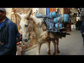 Winter Trip to Morocco ❄️