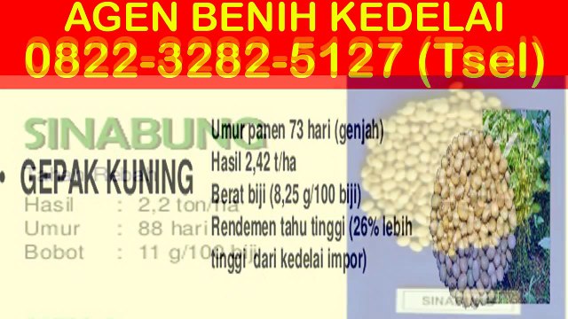 0822-3282-5127 (Tsel), Jual Beli Bibit Kedelai