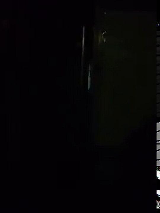 Cat fights!