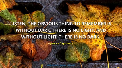 Jessica Capshaw Quotes #2