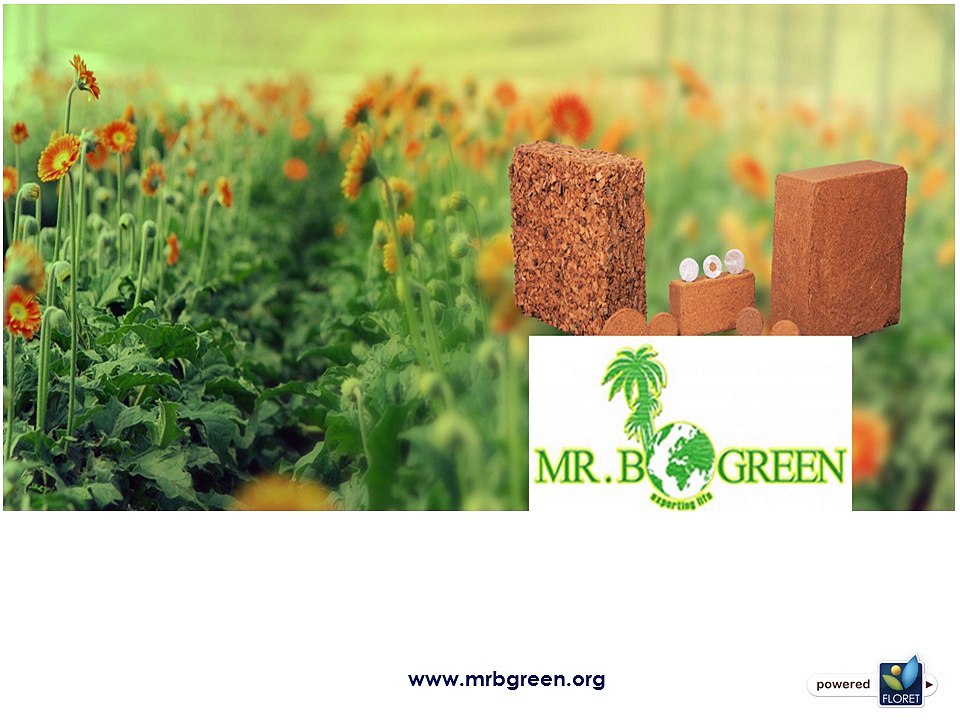 Coco Peat Blocks Manufacturers