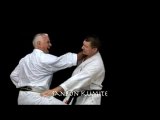 DVD Karate Shotokan Lavorato vol.3