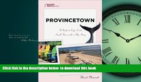 liberty books  Provincetown: A Guide to Cape Cod s Small Town With a Big Story (Tourist Town