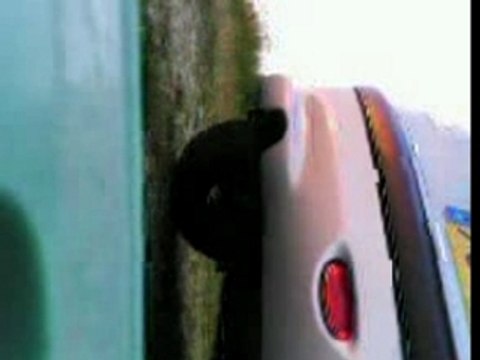 206 s16 avec ligne inox et silencieux groupe n inox