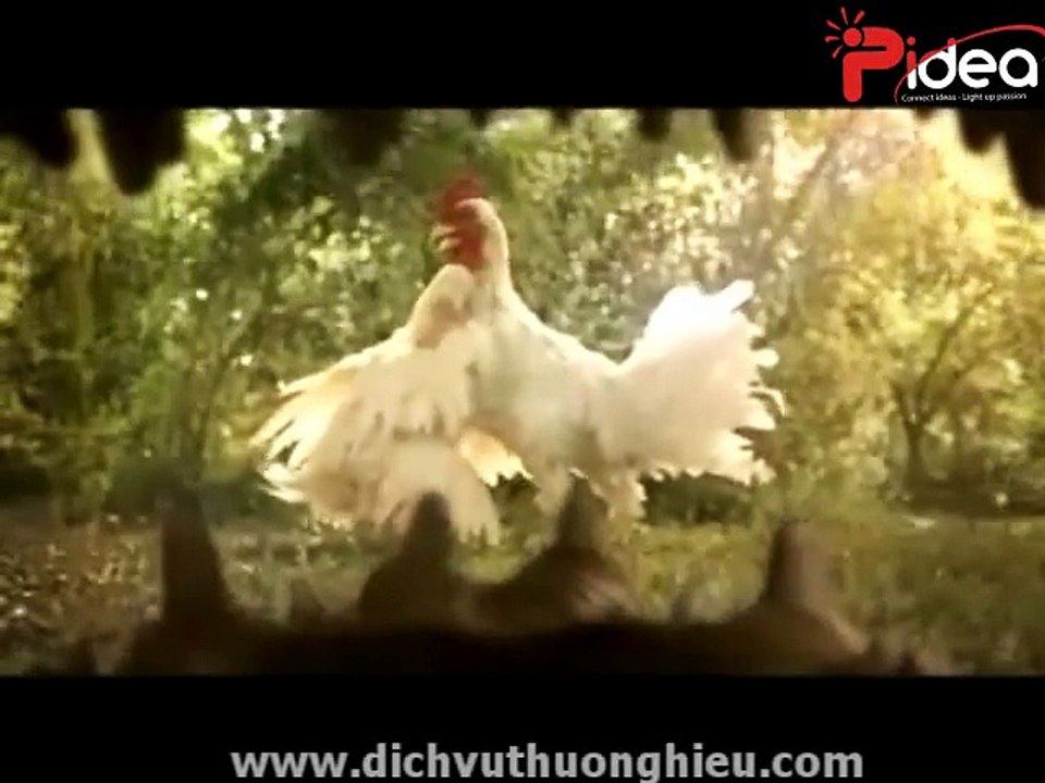 Sáng tạo độc đáo không giới hạn phần 20