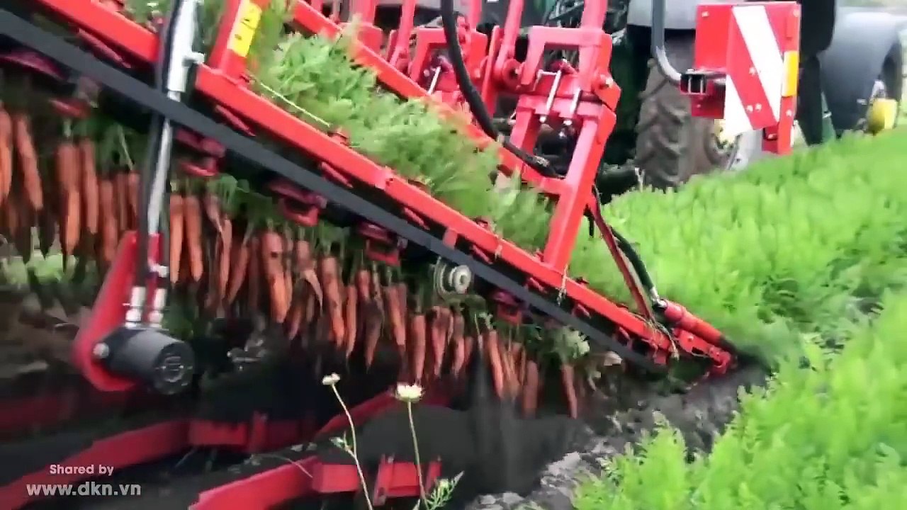 Sáng tạo độc đáo không giới hạn phần 4