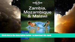 Read book  Lonely Planet Zambia, Mozambique   Malawi (Travel Guide) BOOOK ONLINE