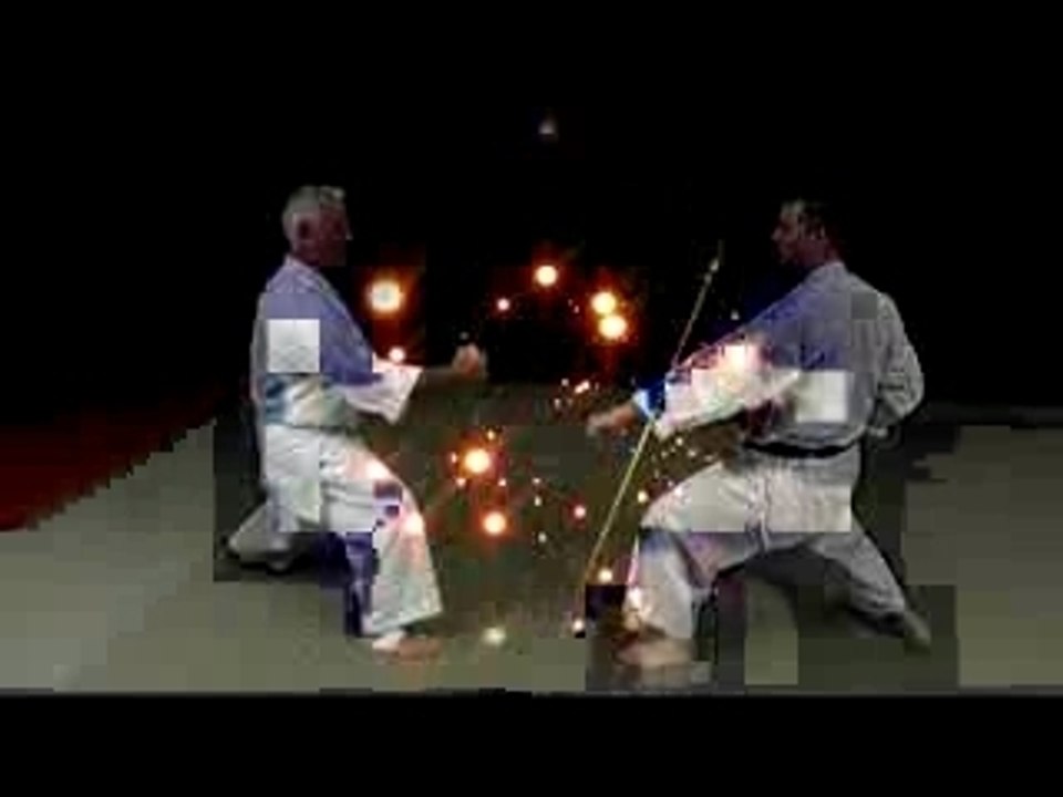 DVD Karate Shotokan Lavorato vol.4