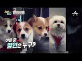 '개밥 주는 남자' 1회 (Full VOD 무료 공개)